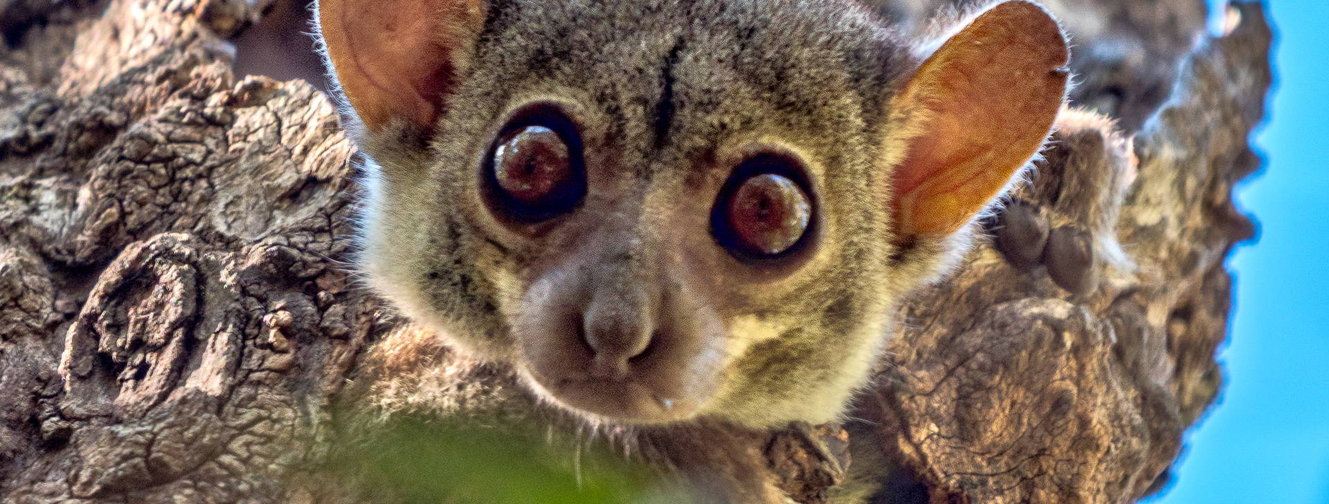 Ubytování MAF Obrázok3