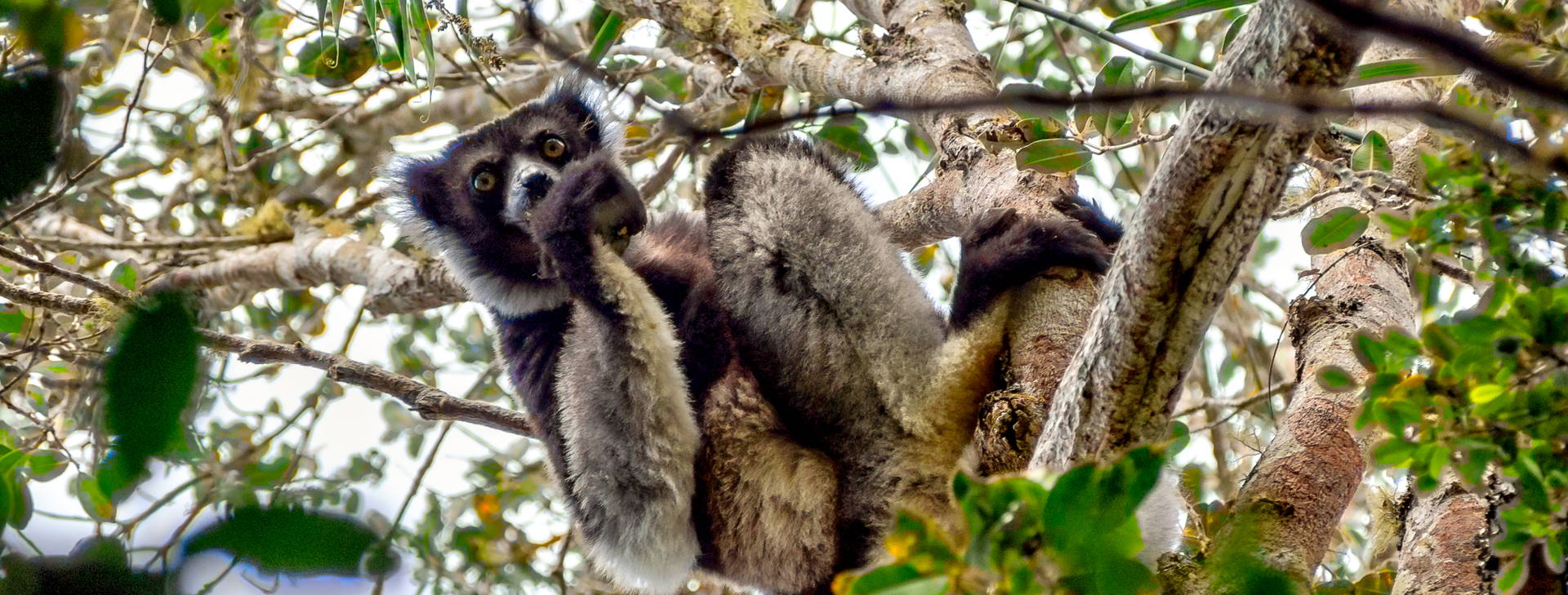 Ubytování MAF Obrázok1