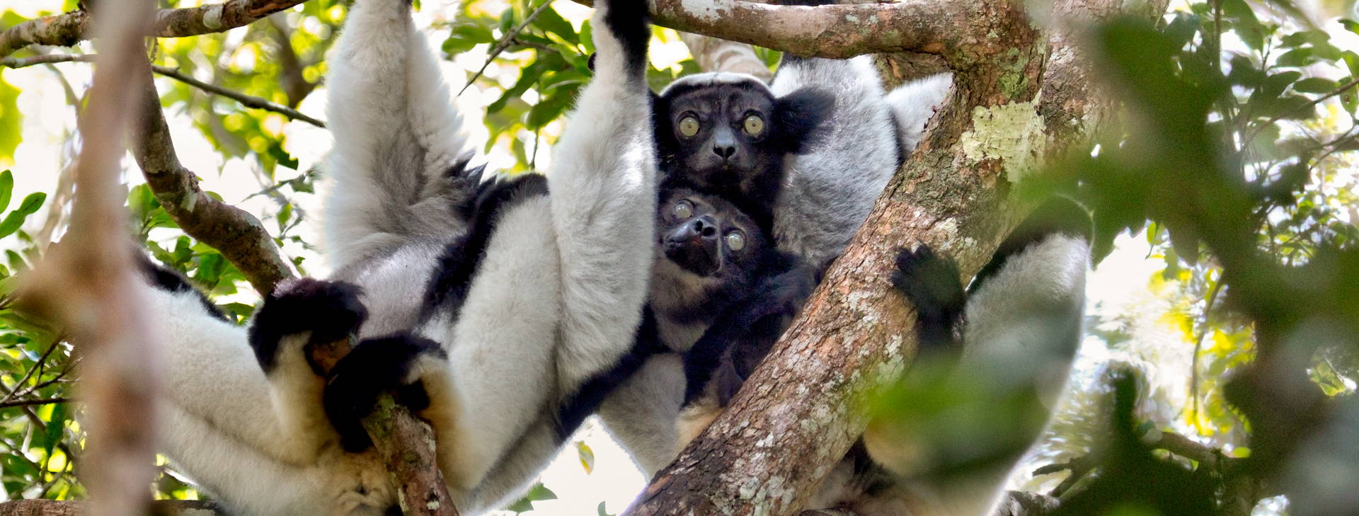 Ubytování MAF Obrázok8