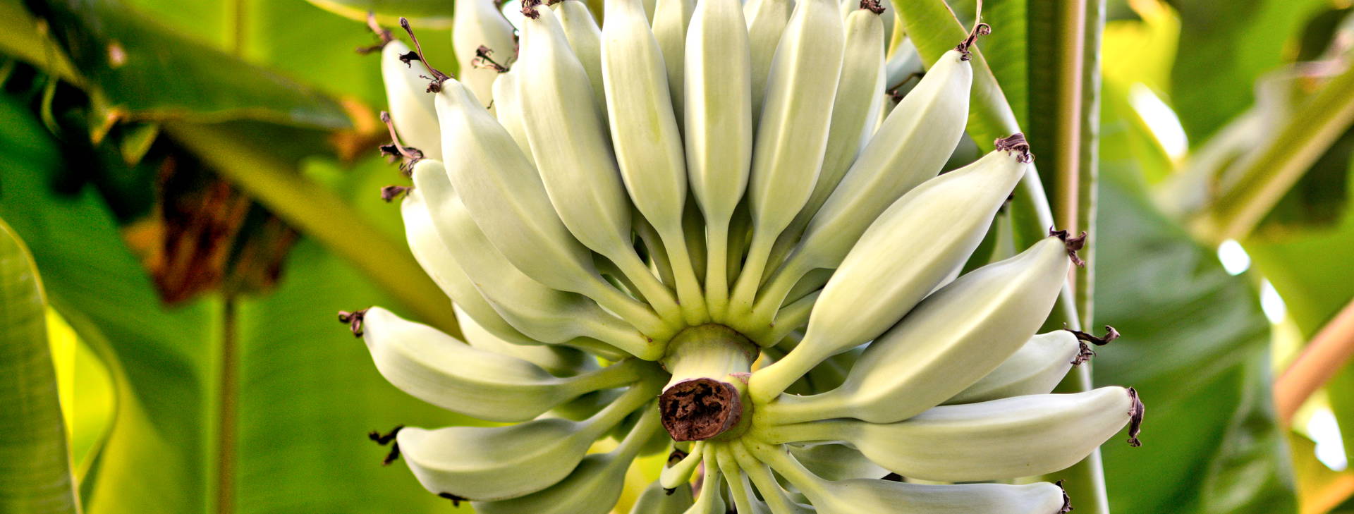 Ubytování MAF Obrázok11