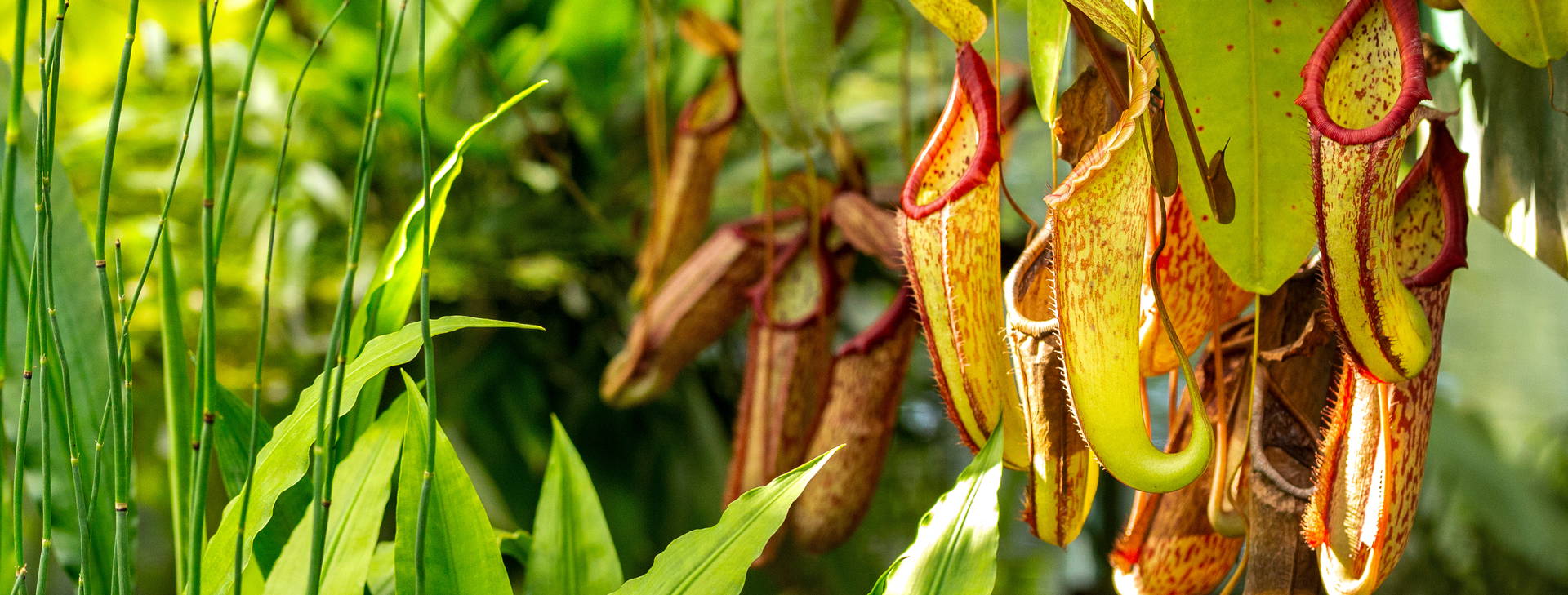 Ubytování MAF Obrázok10