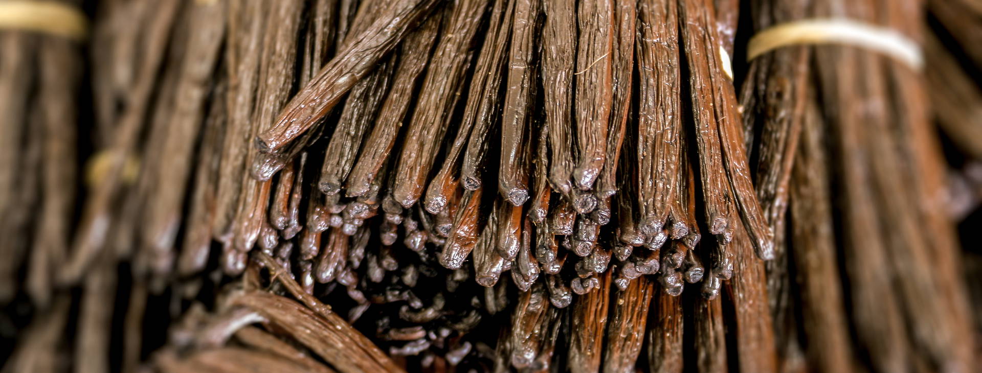 Ubytování MAF Obrázok24