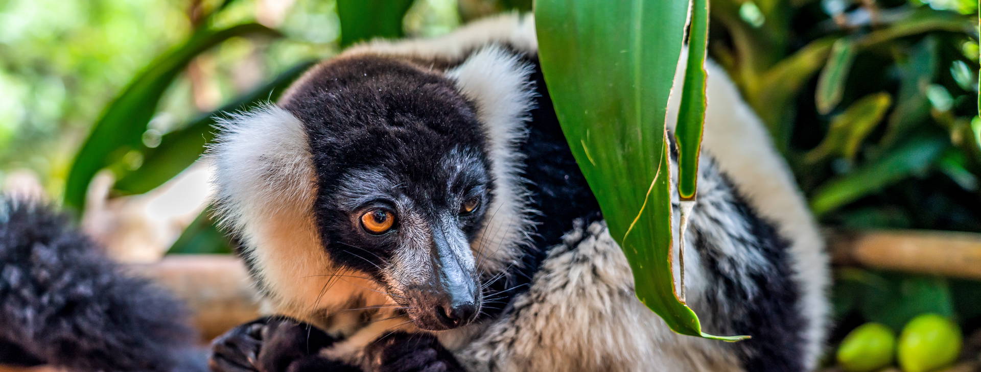 Ubytování MAF Obrázok22