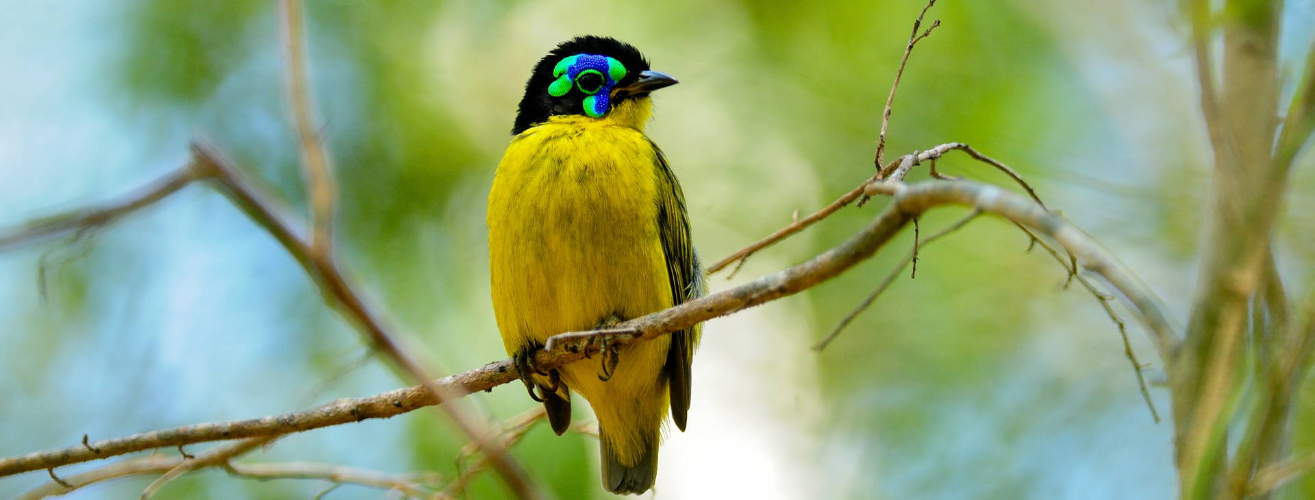 Ubytování MAF Obrázok28