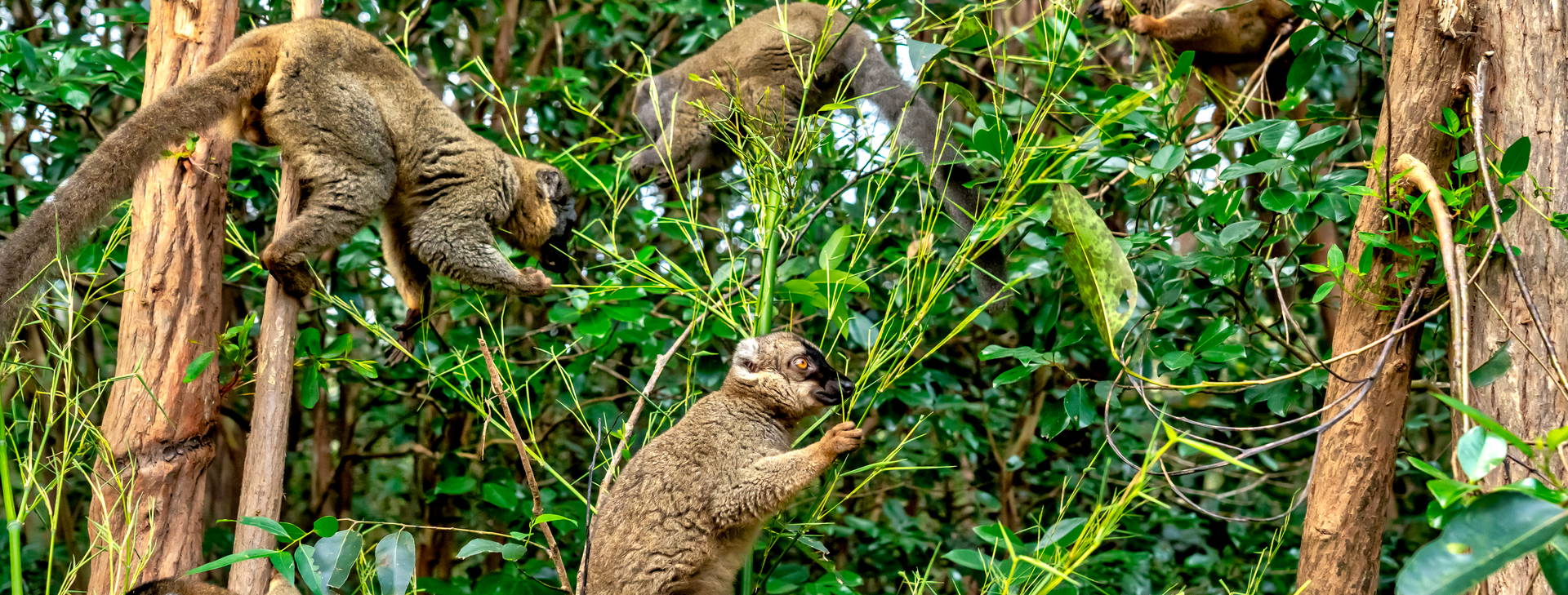 Ubytování MAF Obrázok26