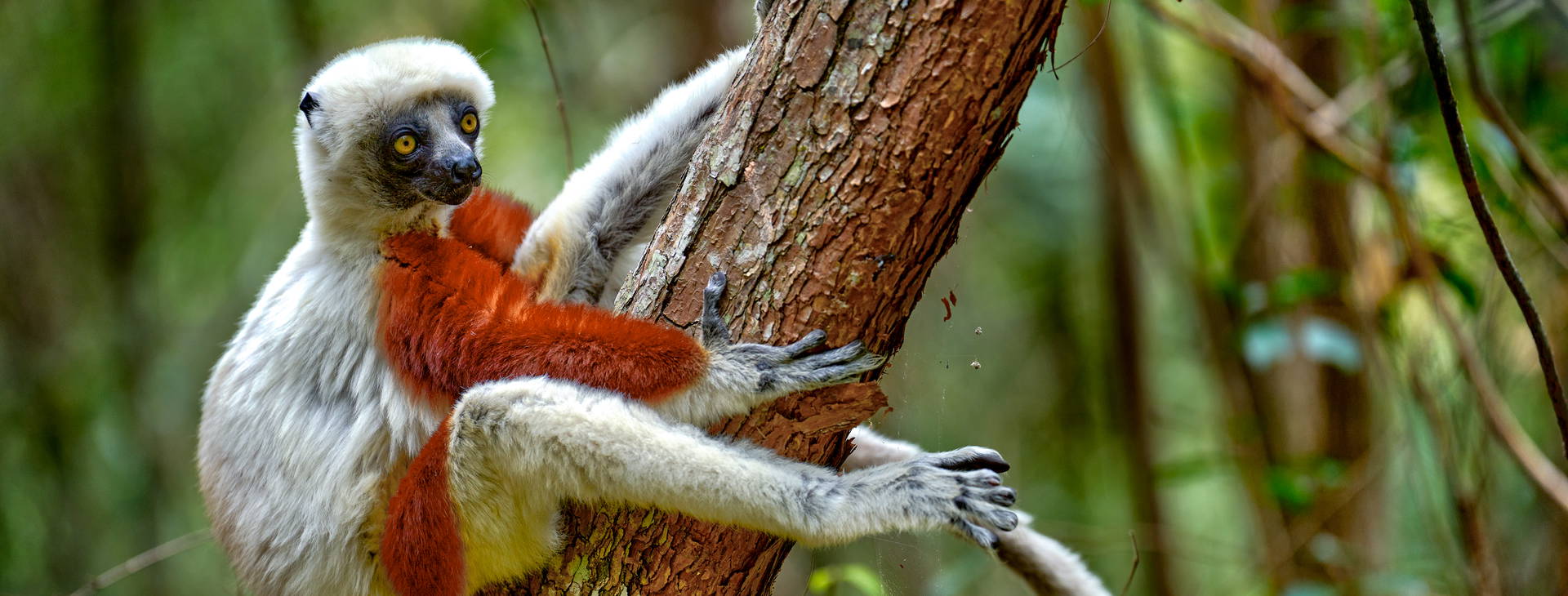 Ubytování MAF Obrázok31