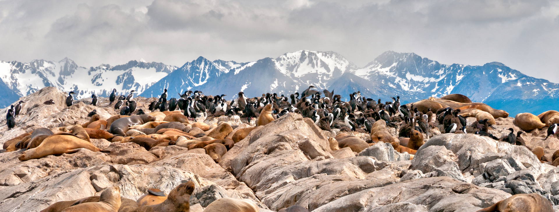 Ubytování ARP Obrázok1