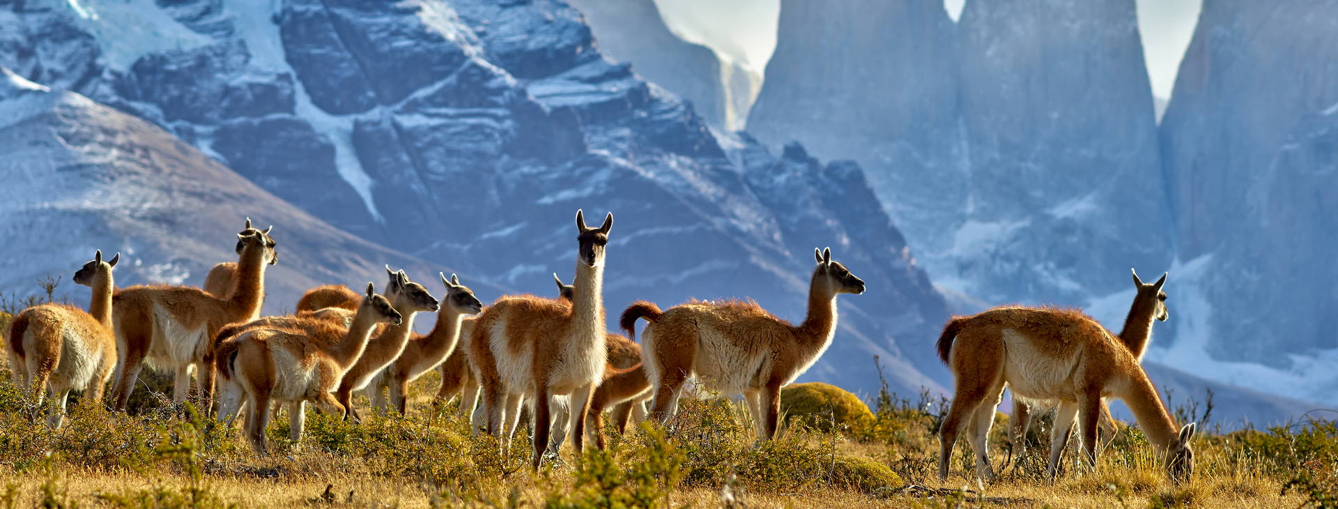 Ubytování ARP Obrázok0