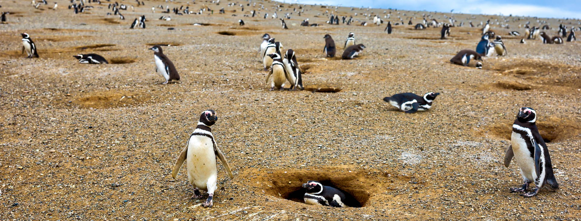 Ubytování ARP Obrázok4