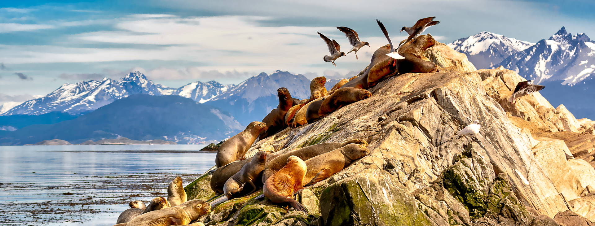 Ubytování ARP Obrázok16