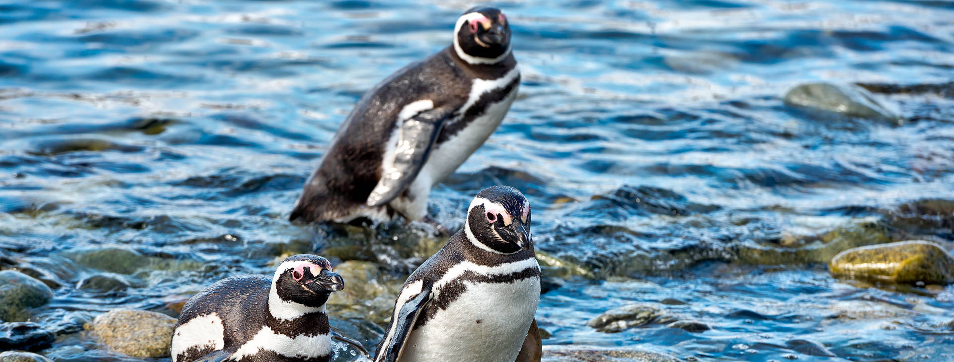 Ubytování ARP Obrázok25