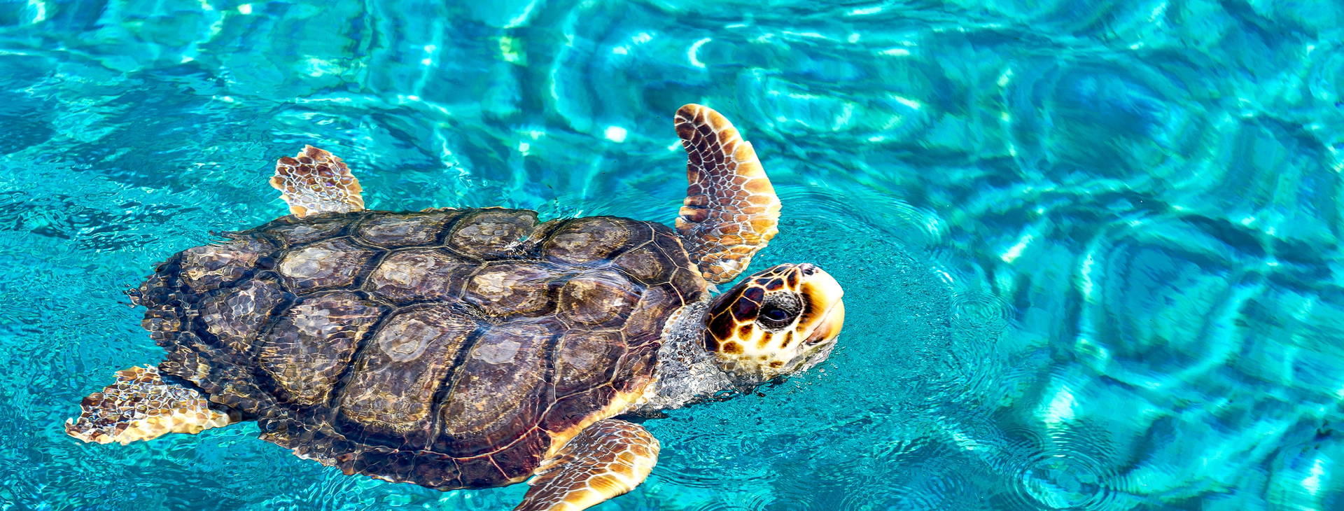 ﻿Ubytování ZTW Obrázok8