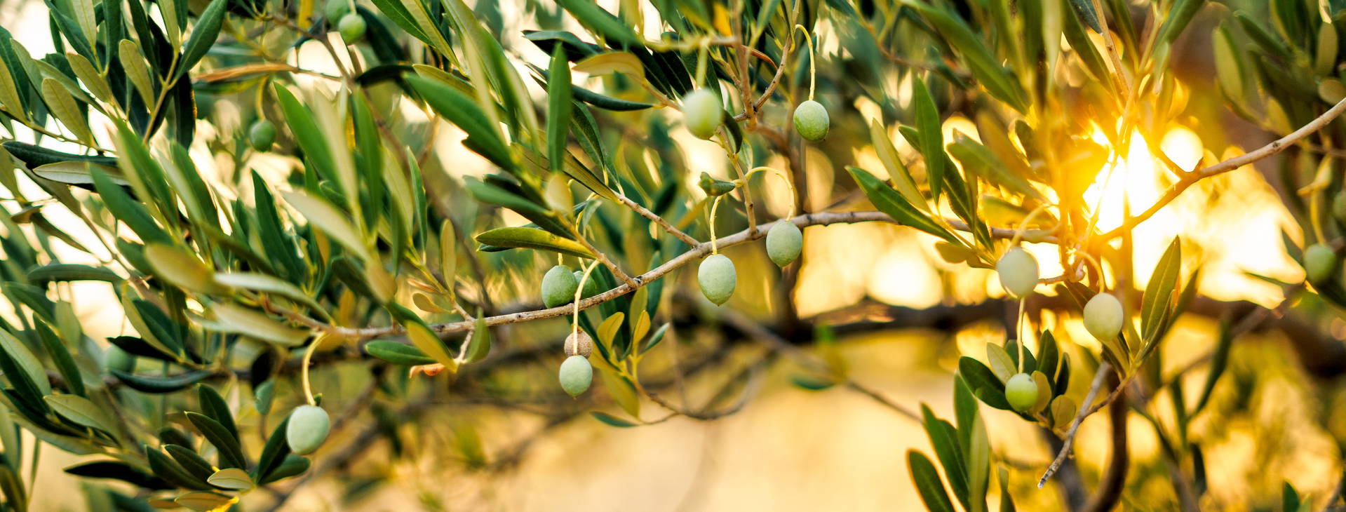 ﻿Ubytování ZTW Obrázok5