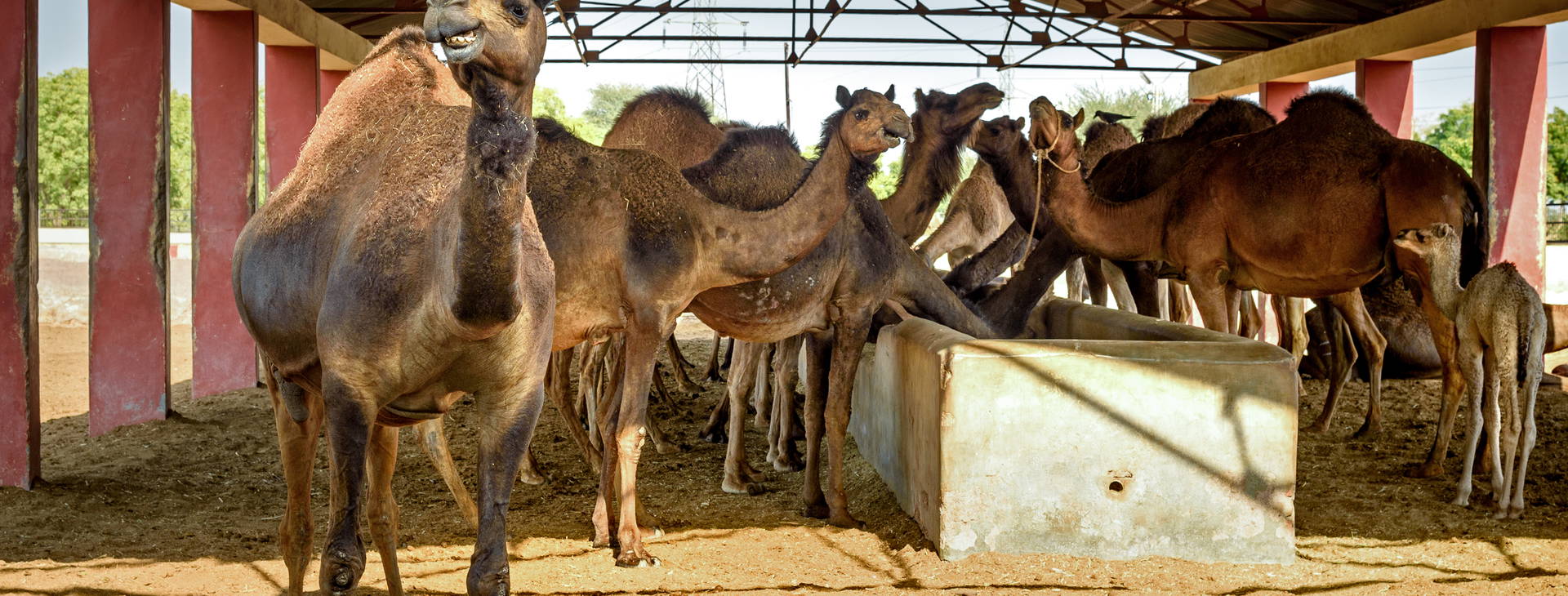 Ubytování ARK Obrázok8