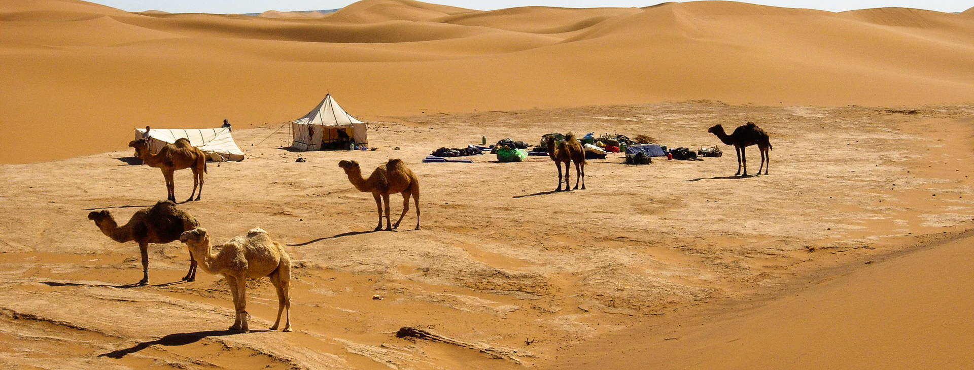 Ubytování GMS Obrázok3