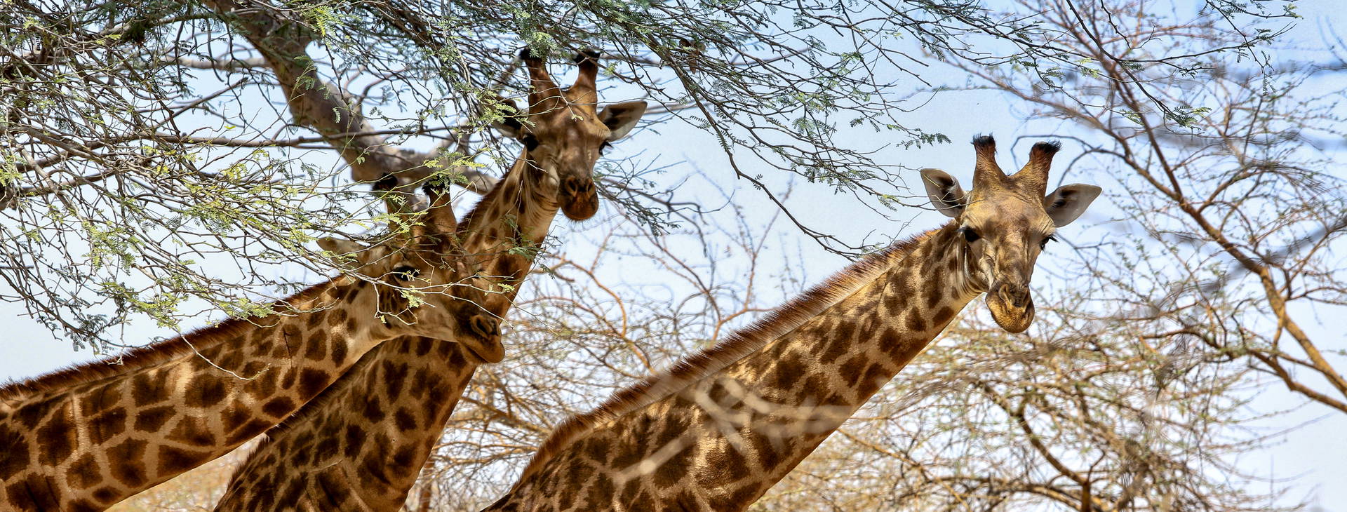 Ubytování GMS Obrázok7