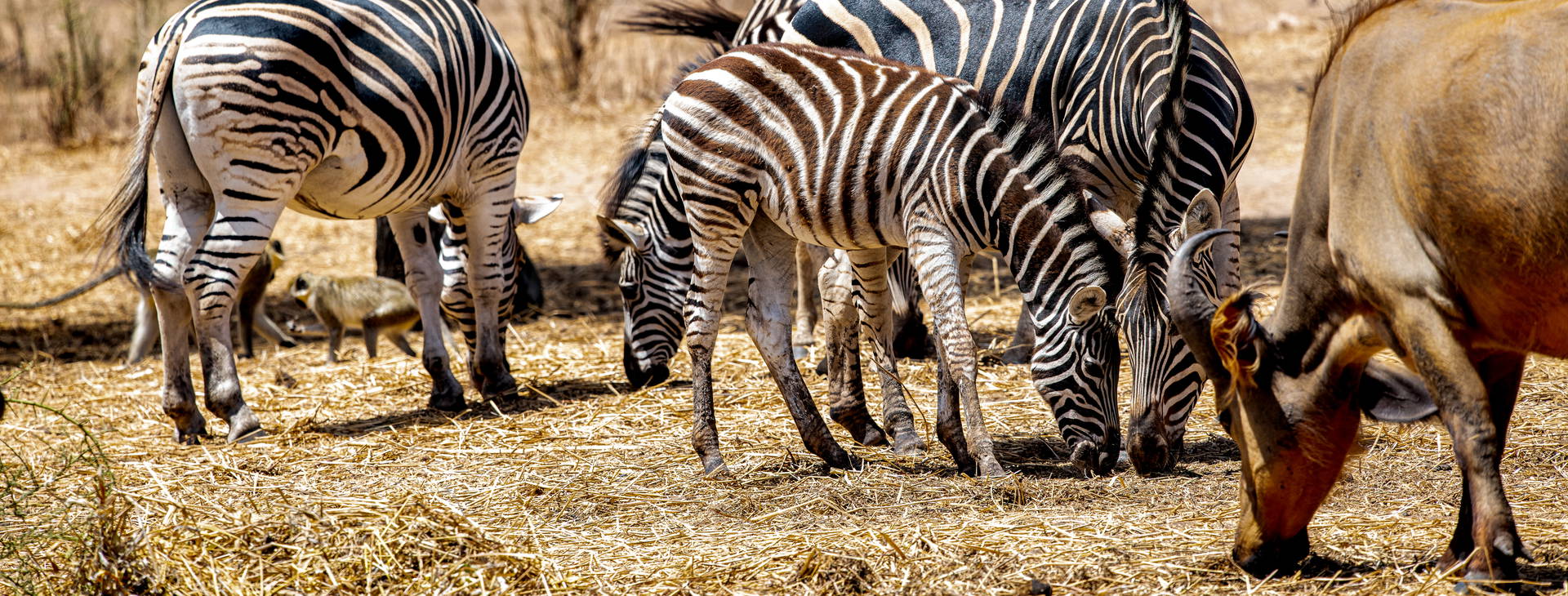 Ubytování GMS Obrázok9