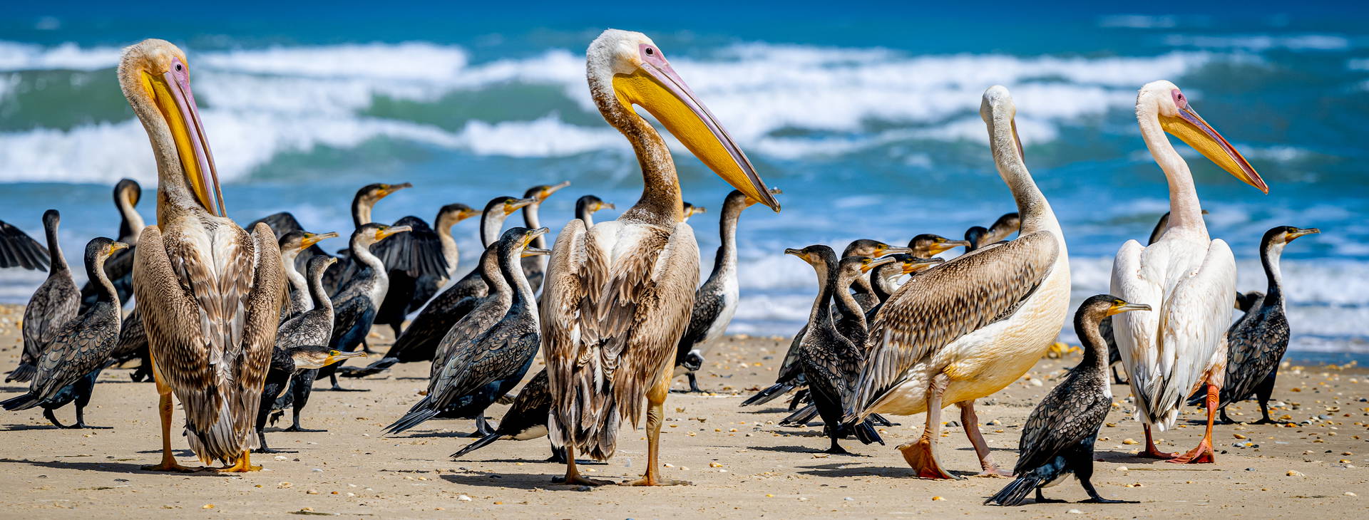 Ubytování GMS Obrázok13