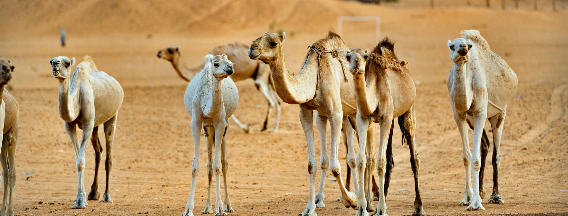 Ubytování GMS Obrázok16