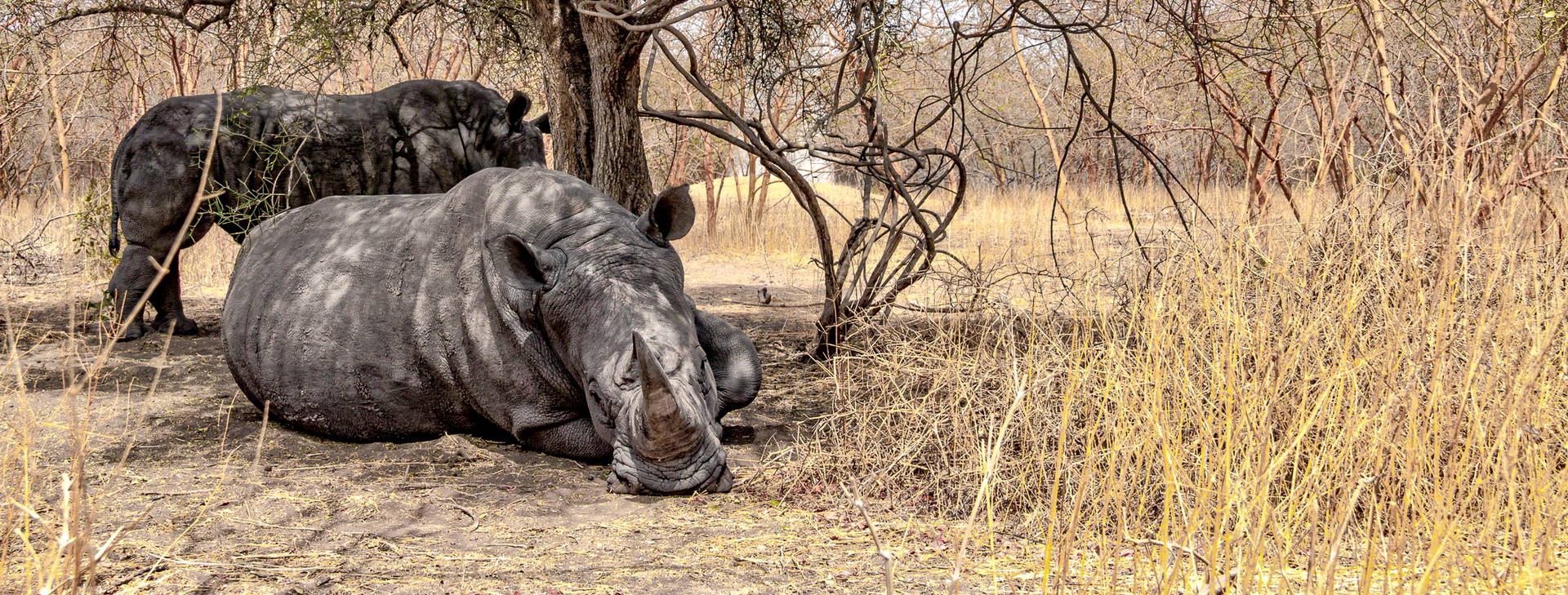 Ubytování GMS Obrázok18