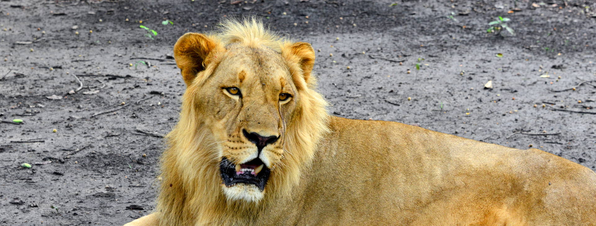 Ubytování GMS Obrázok29