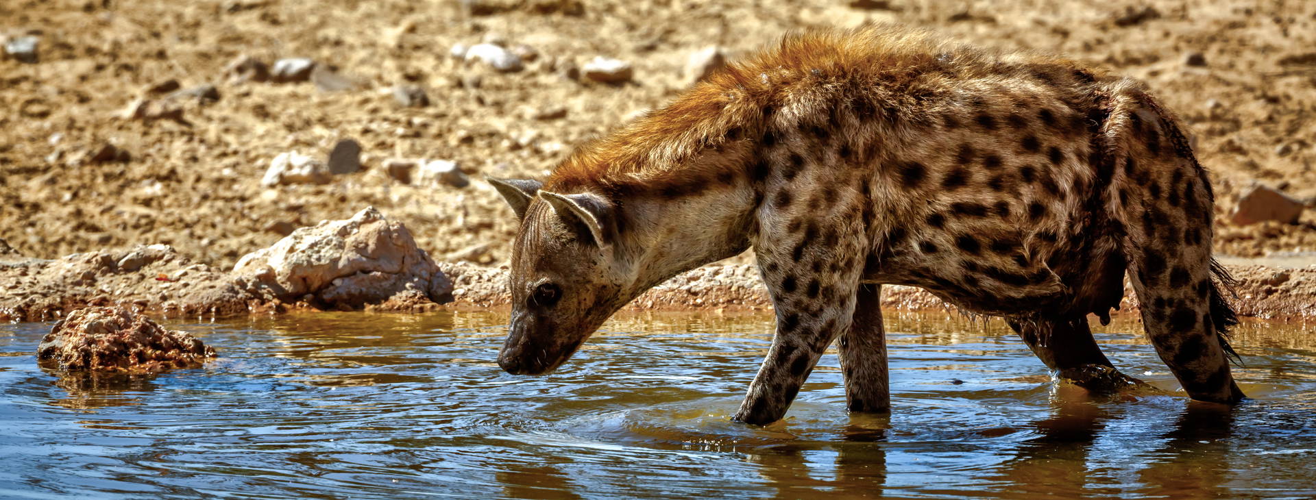 Ubytování GMS Obrázok32