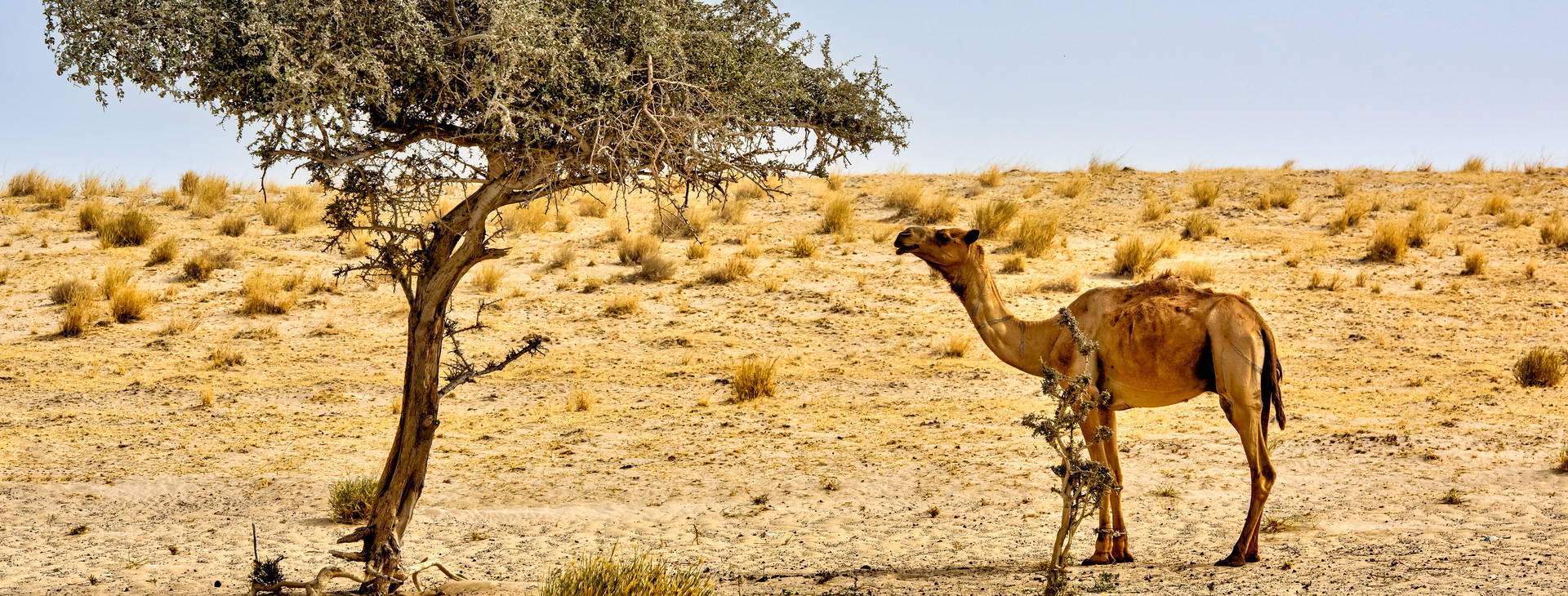 Ubytování GMS Obrázok37