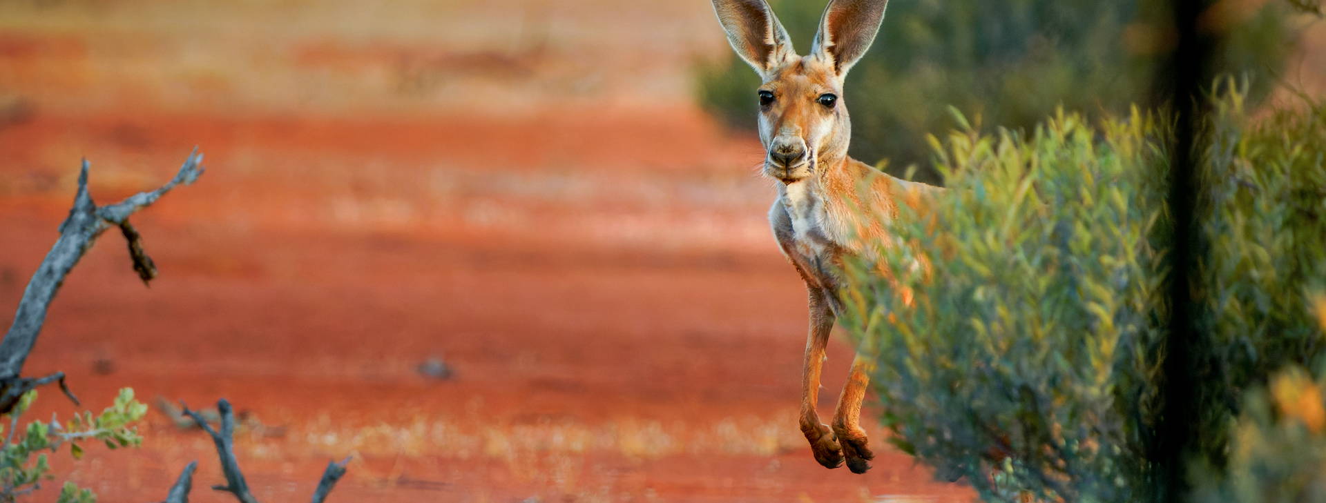 Ubytování AUC Obrázok4