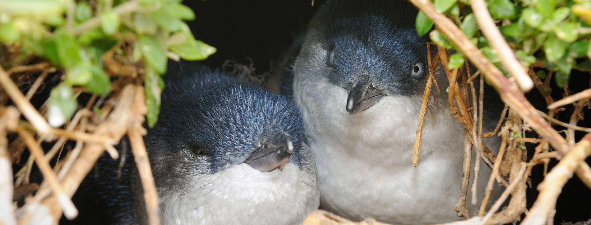 Ubytování AUC Obrázok15