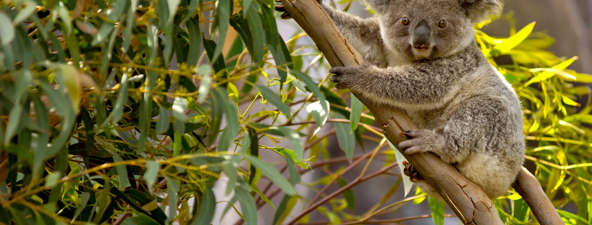 Ubytování AUC Obrázok16