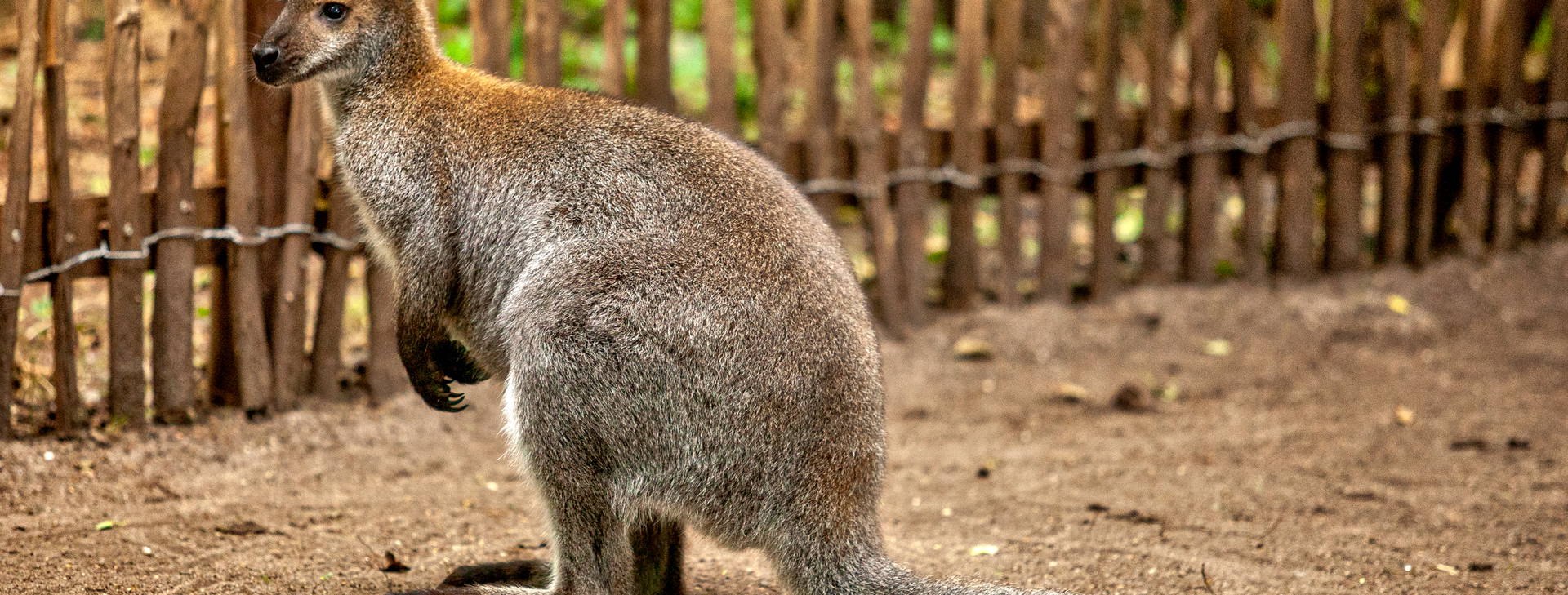 Ubytování AUC Obrázok12