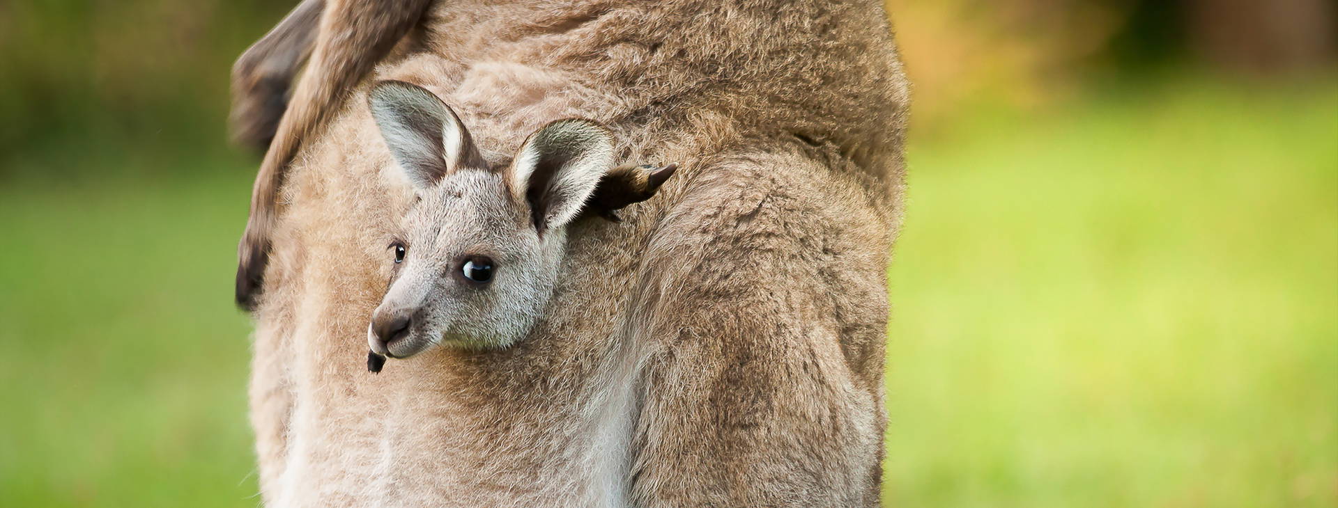 Ubytování AUC Obrázok20
