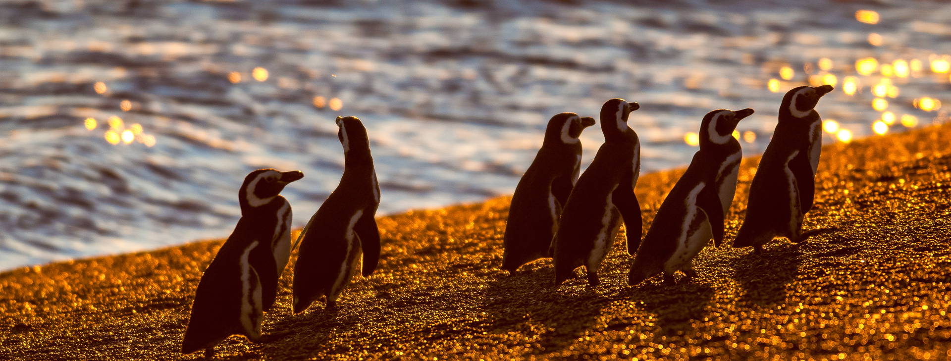 Ubytování AUC Obrázok21