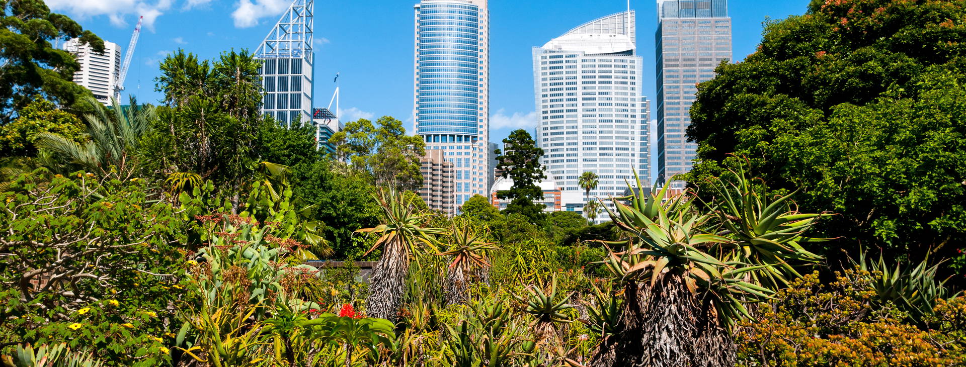 Ubytování AUC Obrázok29