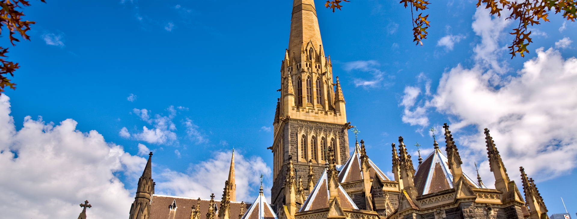 Ubytování AUC Obrázok31