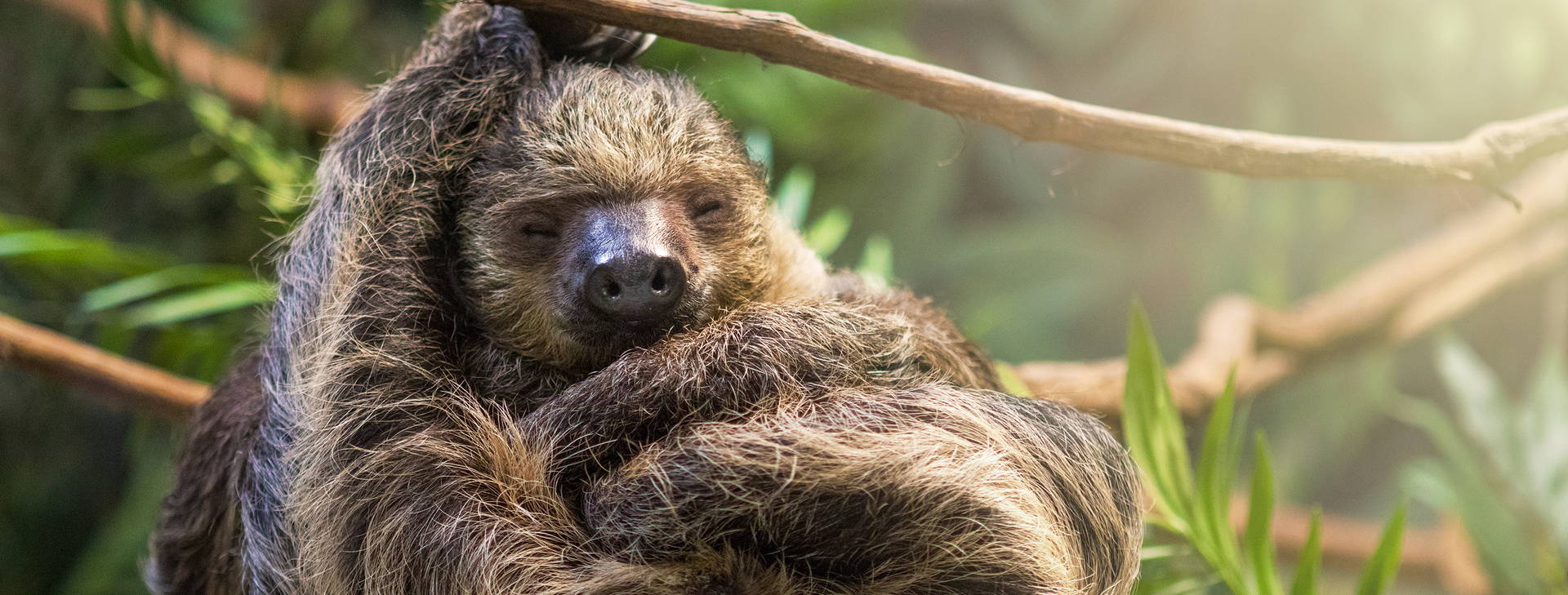 Ubytování BMS Obrázok0