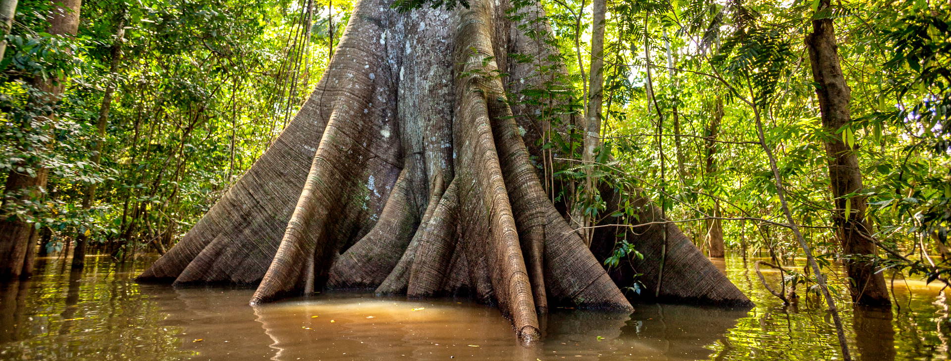 Ubytování BMS Obrázok10