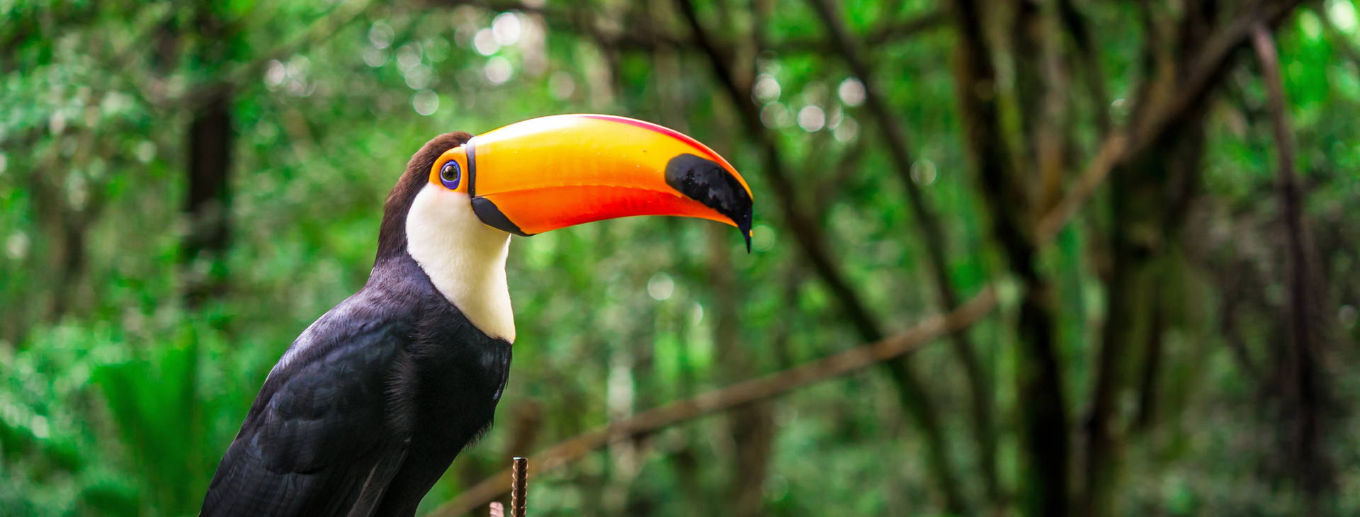 Ubytování BMS Obrázok19