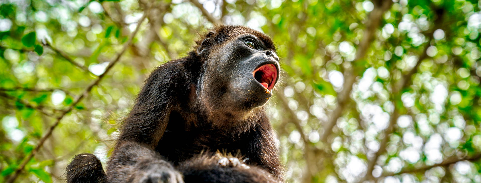 Ubytování BMS Obrázok26