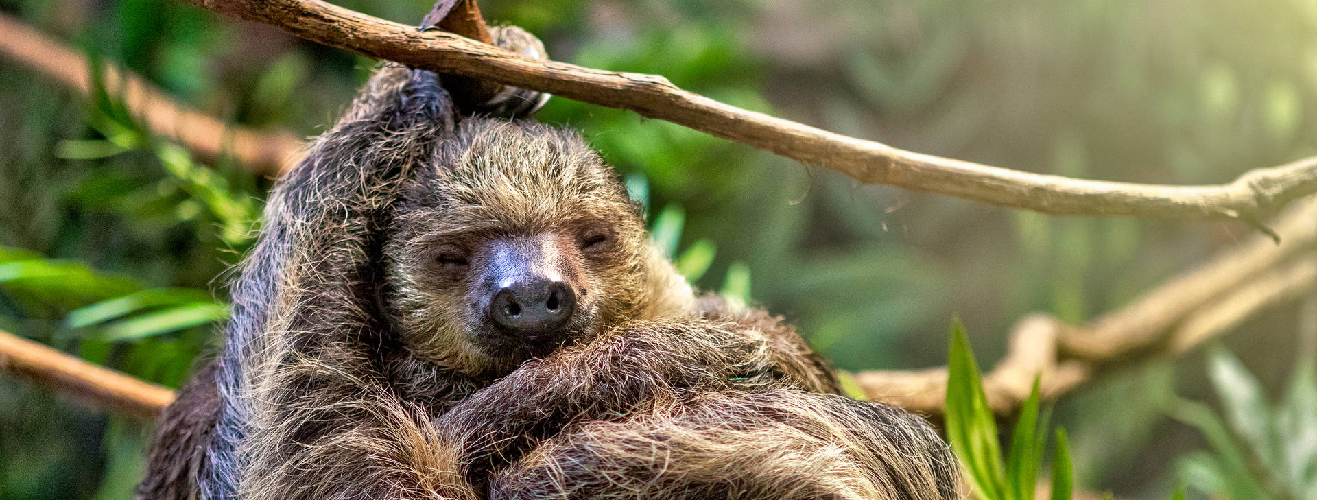 Ubytování BMS Obrázok32