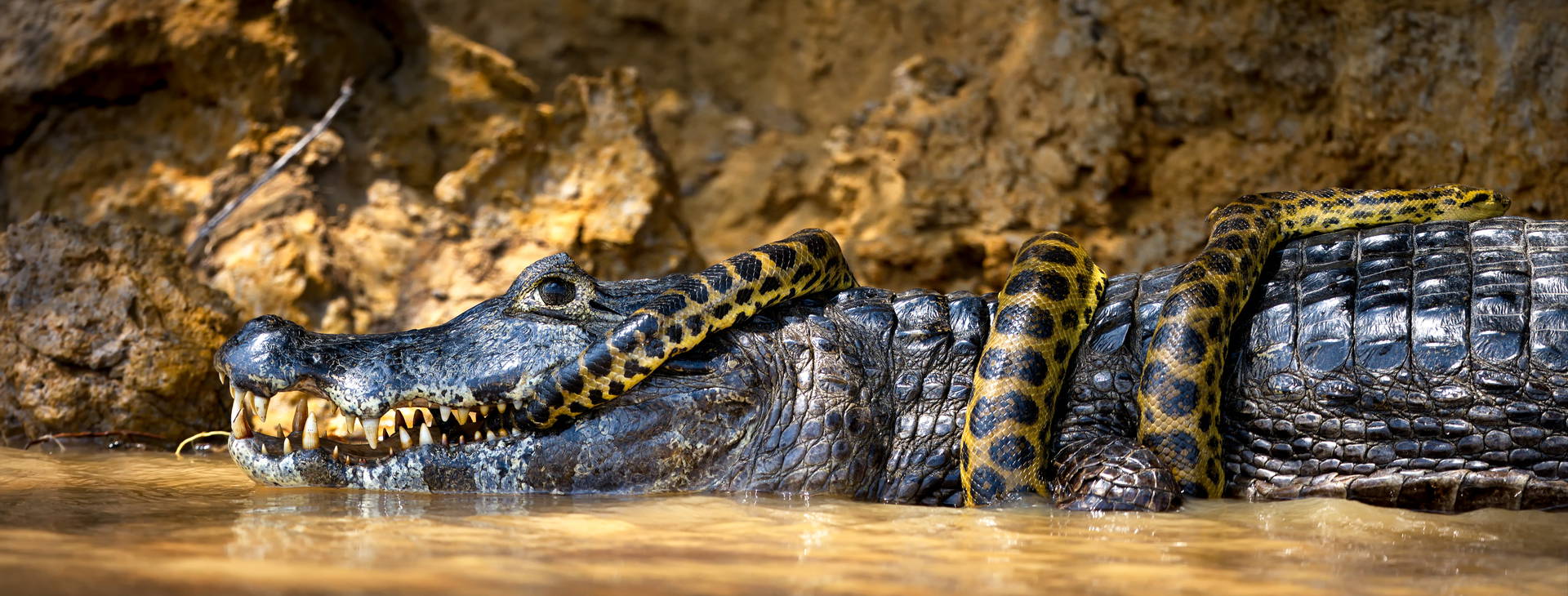 Ubytování BMS Obrázok38