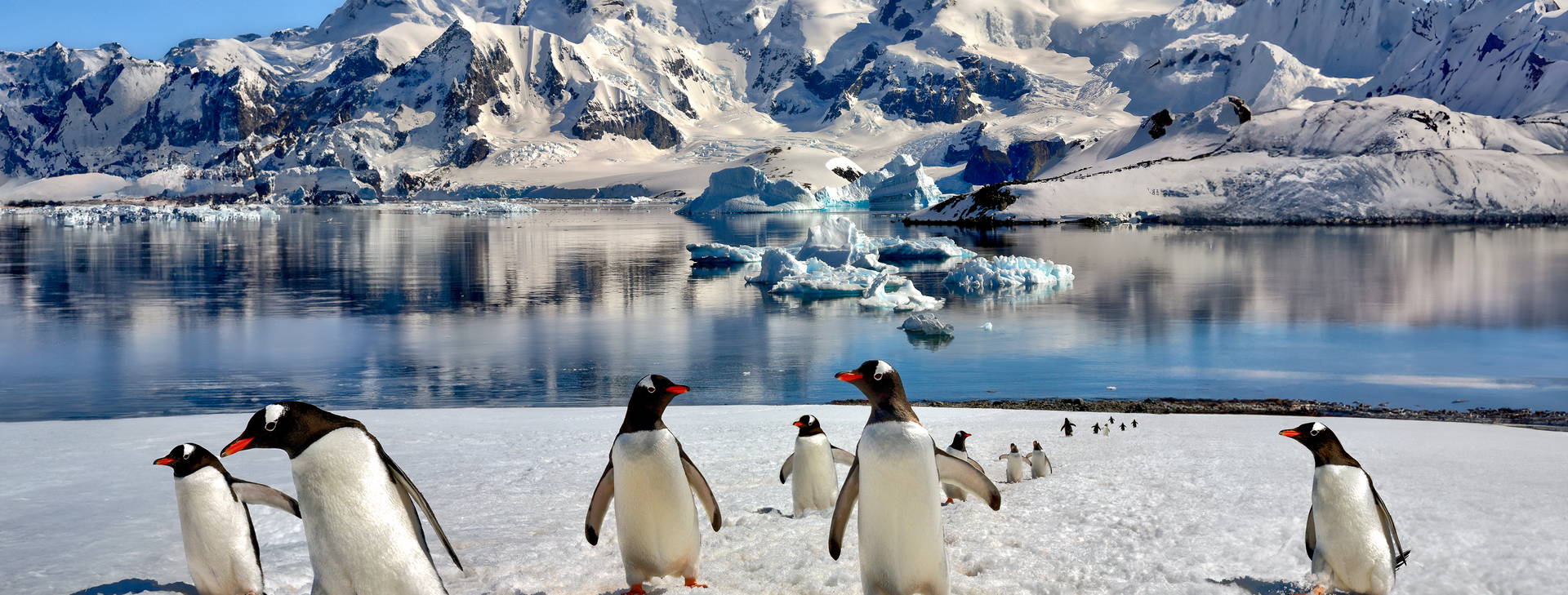 Ubytování ANT (Norwegian Star) Obrázok2