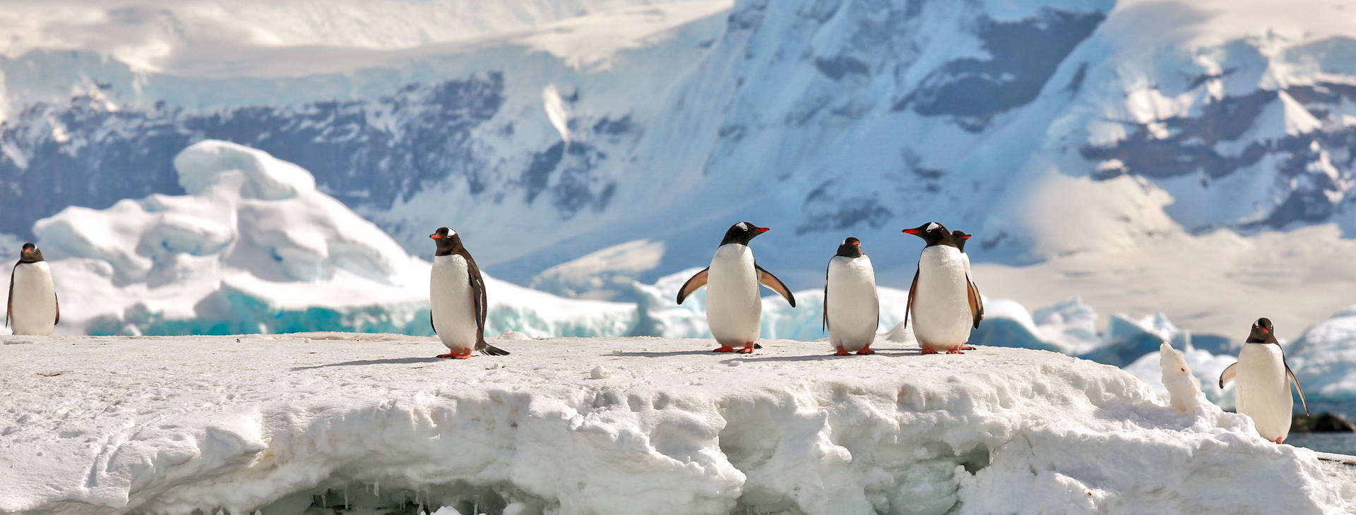 Ubytování ANT (Norwegian Star) Obrázok10