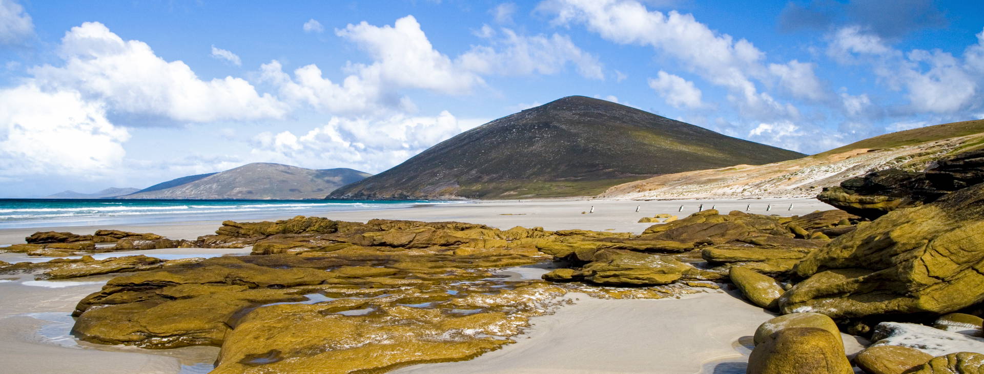 Ubytování ANT (Norwegian Star) Obrázok28