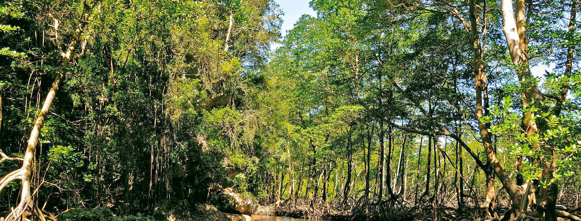 Ubytování RBR (Costa Pacifica) Obrázok3