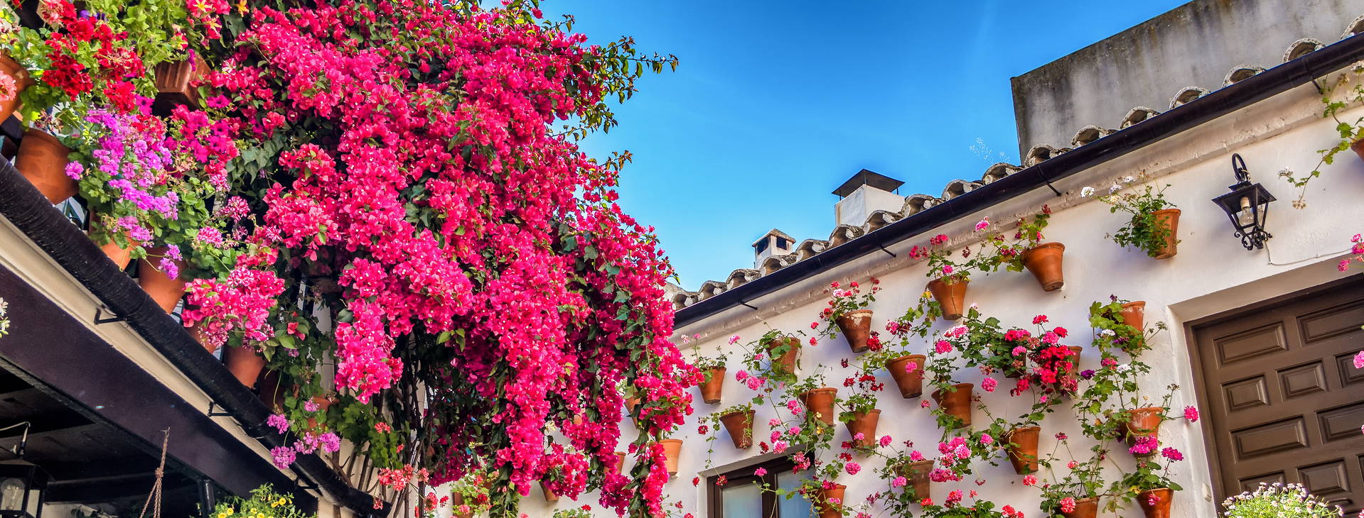 Ubytování CBG Obrázok26