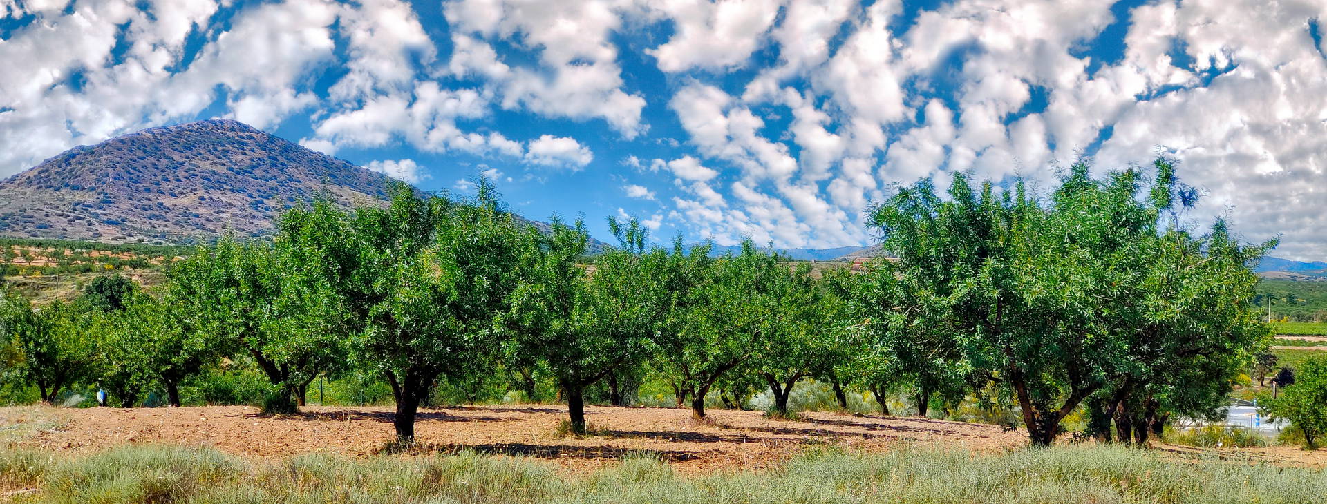 Ubytování CBG Obrázok23