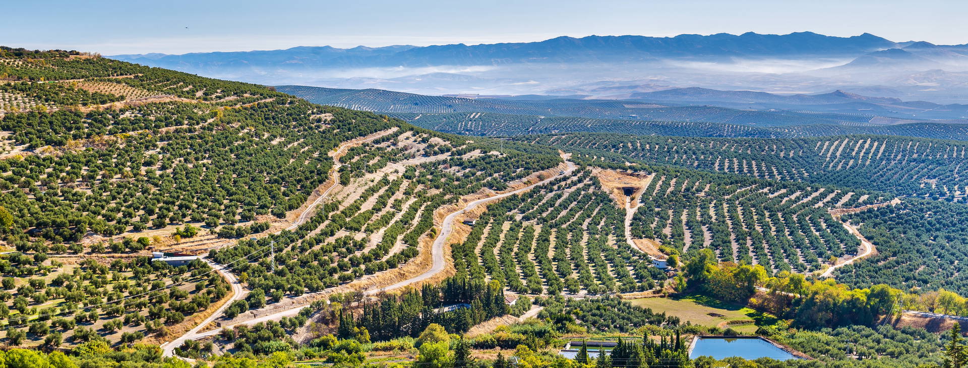 Ubytování CBG Obrázok21