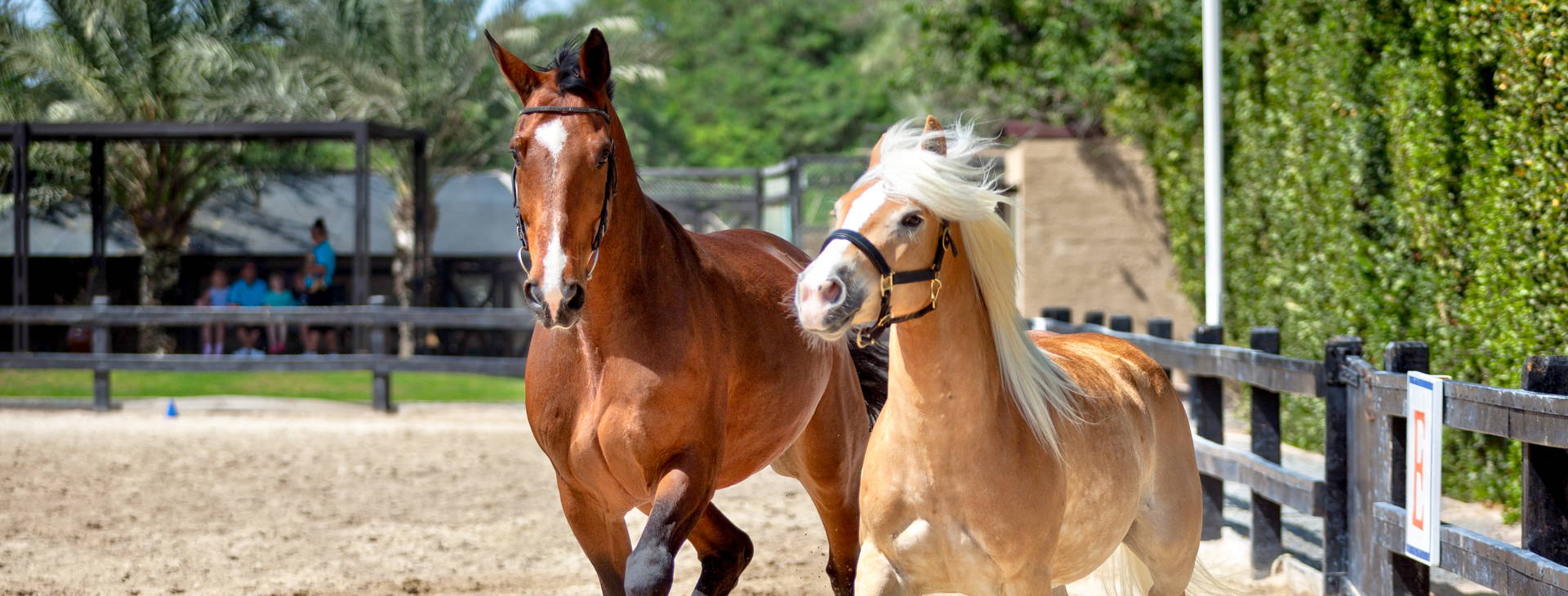 JA Lake View Hotel Obrázok18