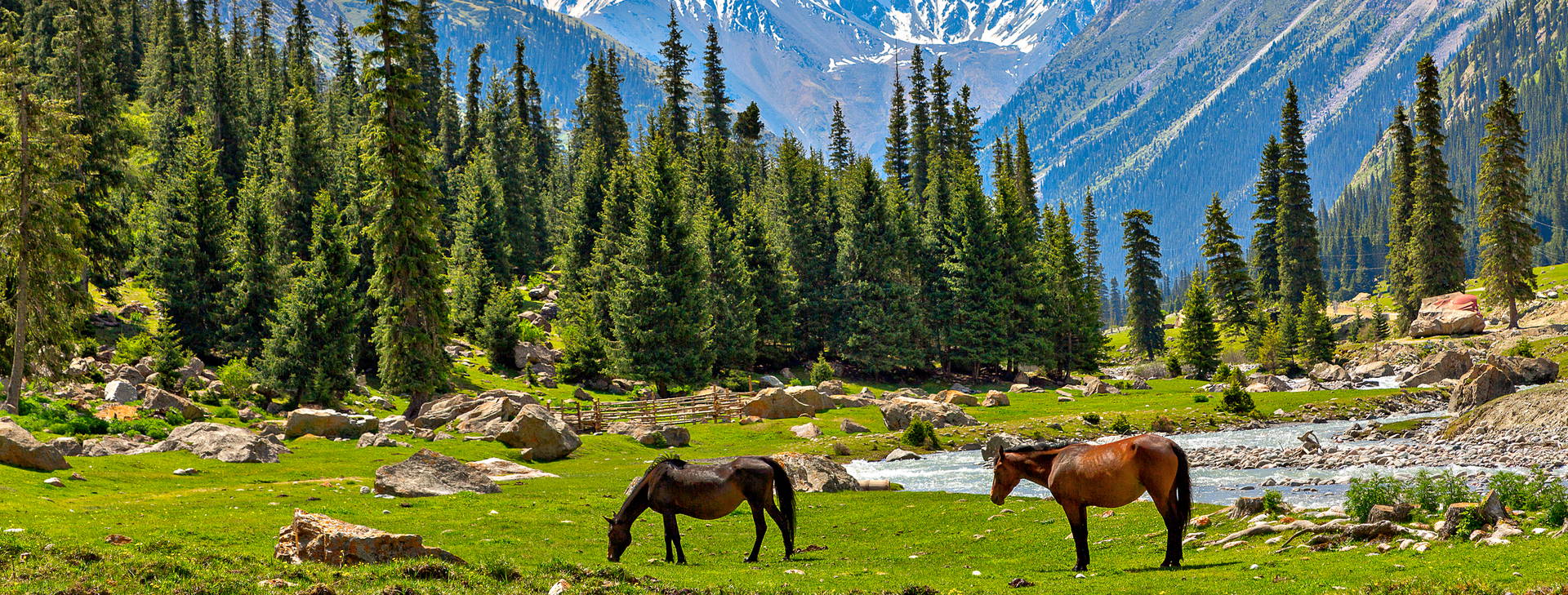 Ubytování KIS Obrázok10